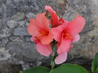2011024491 Lake Atitlan - Guatemala