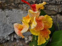 2011024493 Lake Atitlan - Guatemala