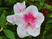 2011024504 Lake Atitlan - Guatemala