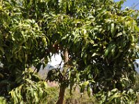 2011024612 Lake Atitlan - Guatemala