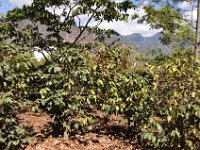2011024615 Lake Atitlan - Guatemala