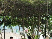 2011024708 Lake Atitlan - Guatemala