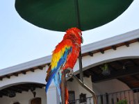 2011024394 Chichicastenango - Guatemala