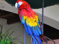 2011024399 Chichicastenango - Guatemala