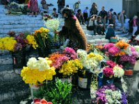 2011024418 Chichicastenango - Guatemala