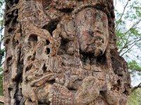 2011024282 Copan - Antiqua - Guatemala