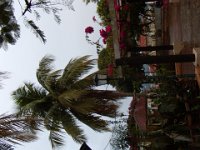 2011023299 Flores - Guatemala