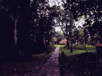 Quirigua (Kee ree gua), Guatemala (February 15, 2011)