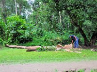 2011024080 Quirigua - Guatemala