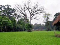 2011024101 Quirigua - Guatemala