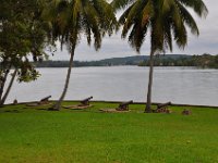 2011023927 Rio Dulce - Guatemala