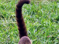 2011023668 Tikal - Guatemala