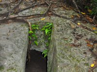2011023714 Tikal - Guatemala