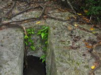 2011023715 Tikal - Guatemala