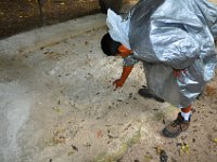 2011023717 Tikal - Guatemala