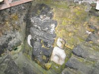 2011023787 Tikal - Guatemala