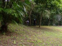 2011023556 Yaxha - Guatemala