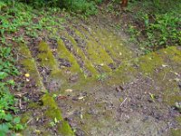 2011023557 Yaxha - Guatemala