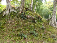 2011023579 Yaxha - Guatemala