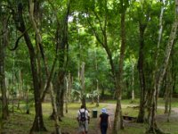 2011023599 Yaxha - Guatemala