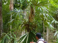 2011023607 Yaxha - Guatemala