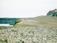 1995051553 Darrel Betty Darla Hagberg - May 15-31 - Baltimore Belgium Ireland Iceland