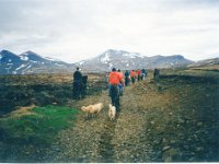 1995051429 Darrel Betty Darla Hagberg - May 15-31 - Baltimore Belgium Ireland Iceland