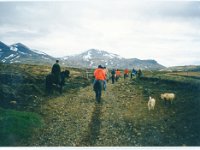 1995051430 Darrel Betty Darla Hagberg - May 15-31 - Baltimore Belgium Ireland Iceland