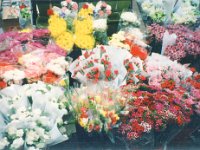 1995051363 Darrel Betty Darla Hagberg - May 15-31 - Baltimore Belgium Ireland Iceland