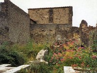 1989070322 : Darla Hagberg