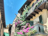 2005071741 Torri Del Benaco- Italy