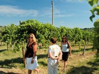 2005071325 San Gimignano Italy