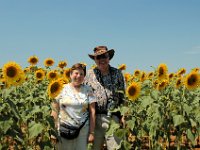 2005071396 Countryside of Tuscany Italy
