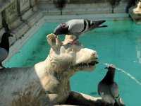 2005071422 Siena Italy