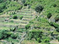 2005071557 Cinque Terre Italy