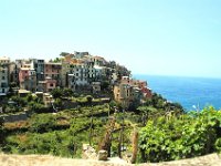 2005071561 Cinque Terre Italy