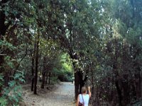 2005071609 Hillside Walk - Florence Italy