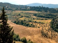 2005071621 Hillside Walk - Florence Italy