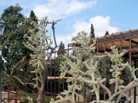 2005071629 Hillside Walk - Florence Italy