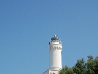 2008066146  Betty & Darrel Hagberg  Al & Diane Brandhorst Italy