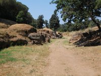 2008065784  Betty & Darrel Hagberg  Al & Diane Brandhorst Italy