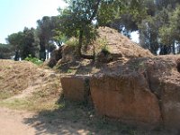 2008065793  Betty & Darrel Hagberg  Al & Diane Brandhorst Italy