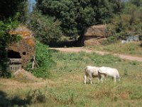 2008065797  Betty & Darrel Hagberg  Al & Diane Brandhorst Italy