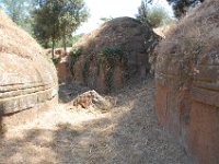 2008065800  Betty & Darrel Hagberg  Al & Diane Brandhorst Italy