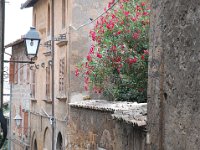 2008065832  Betty & Darrel Hagberg  Al & Diane Brandhorst Italy