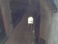 2008065890  Betty & Darrel Hagberg  Al & Diane Brandhorst Italy