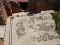 2008066184  Betty & Darrel Hagberg  Al & Diane Brandhorst Italy