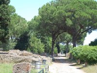 2008066215  Betty & Darrel Hagberg  Al & Diane Brandhorst Italy