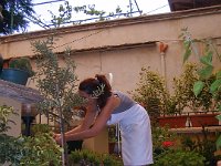 2008069226  Betty & Darrel Hagberg Al & Diane Brandhorst - Italy