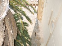 2008066096  Betty & Darrel Hagberg  Al & Diane Brandhorst Italy